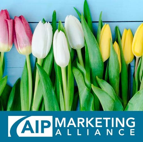2021 - April - About Us - Tulips.jpg
